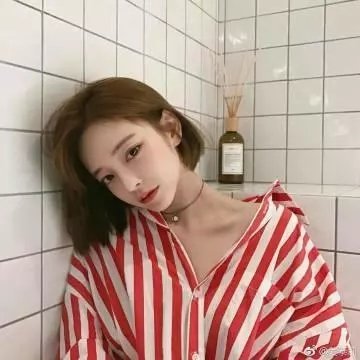 虫虫的异想生活